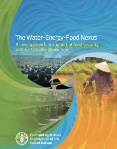 The Water-Energy-Food Nexus. A New Approach in Support of Food Security and Sustainable Agriculture.