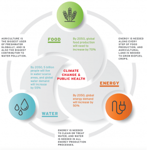 A schematic of the Food-Energy-Water Nexus