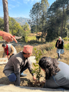 Planting of a lemon tree at the Namobuddha municipality. 