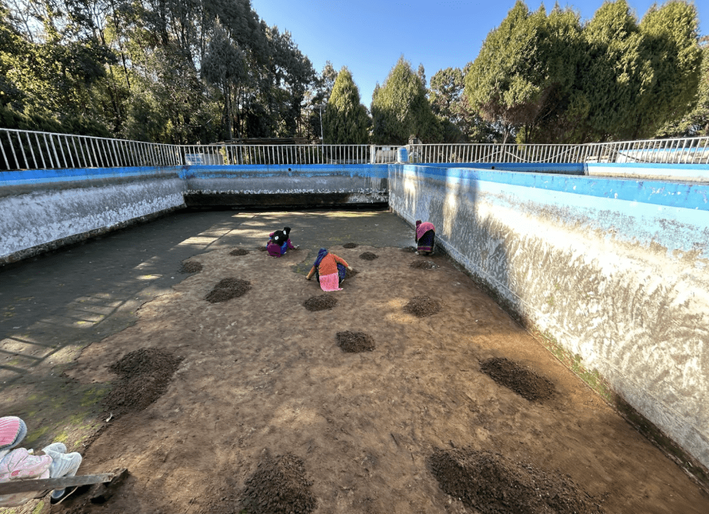 Nepali women clearing algae from the fine sand filter at the drinking water treatment plant. The plant workers emphasized that they would like to implement an automated system if the funds could be allocated.